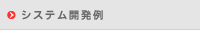システム開発例